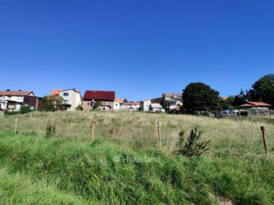 Postkartenaussicht auf der Wiese im Harz