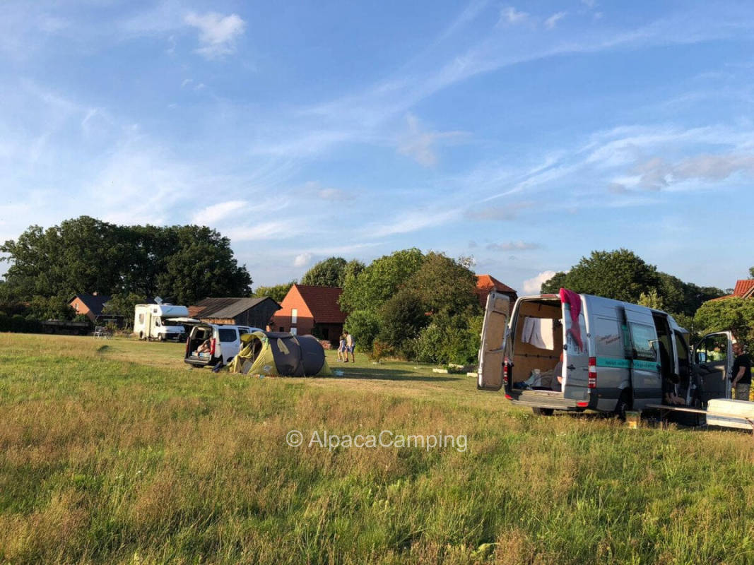 AlpacaCamping 1861