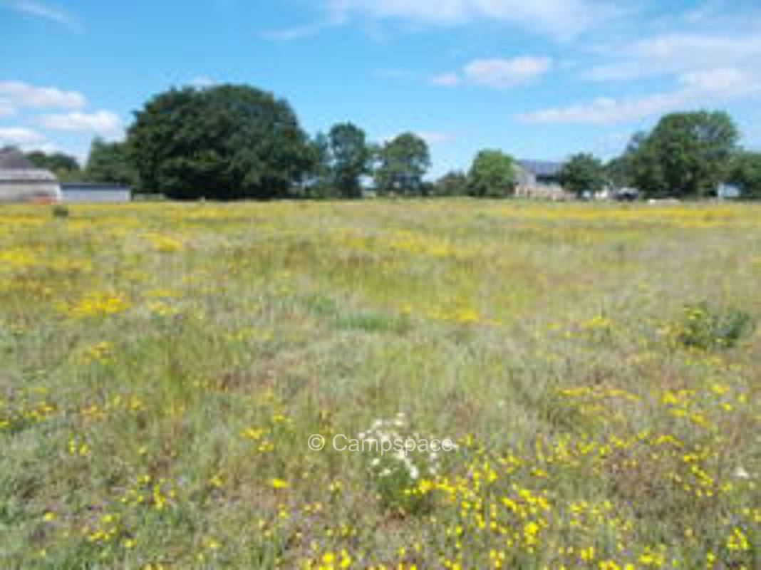 Nature camping between the North Sea and the Baltic Sea