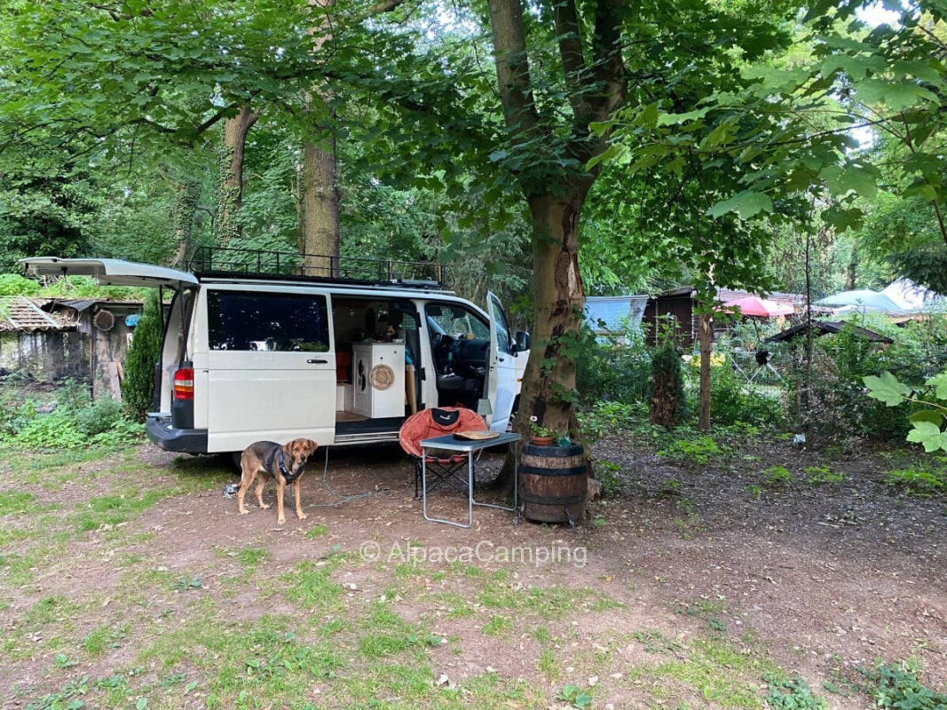 Park-like idyll on the edge of the Wahner Heath between Cologne and Bonn