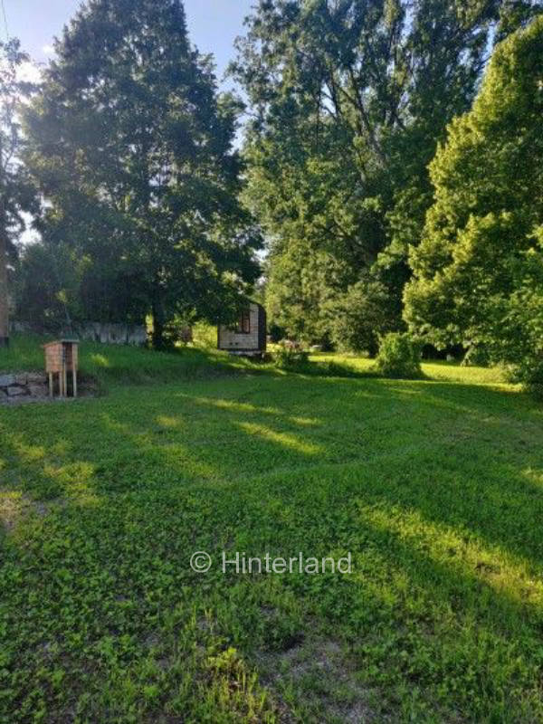 Zwischen Bach und Obstbäumen am Rhein