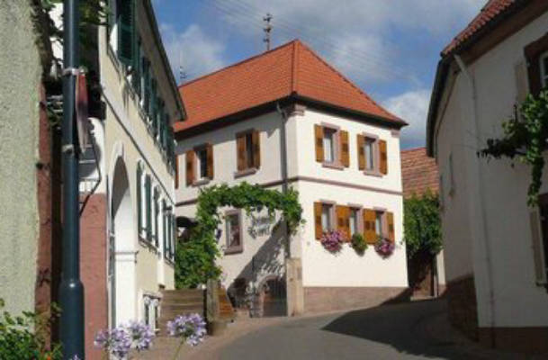 Camping auf dem Weingut 