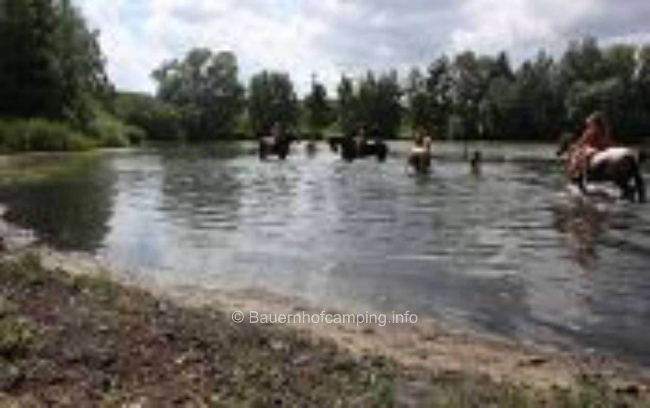 Riding stable Dammkrug