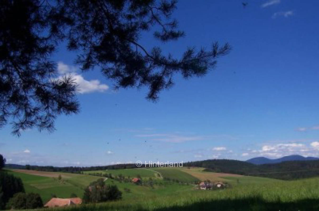 Platz 2   2 Täler-Wiese  Ganz nah bei Mutter Erde 