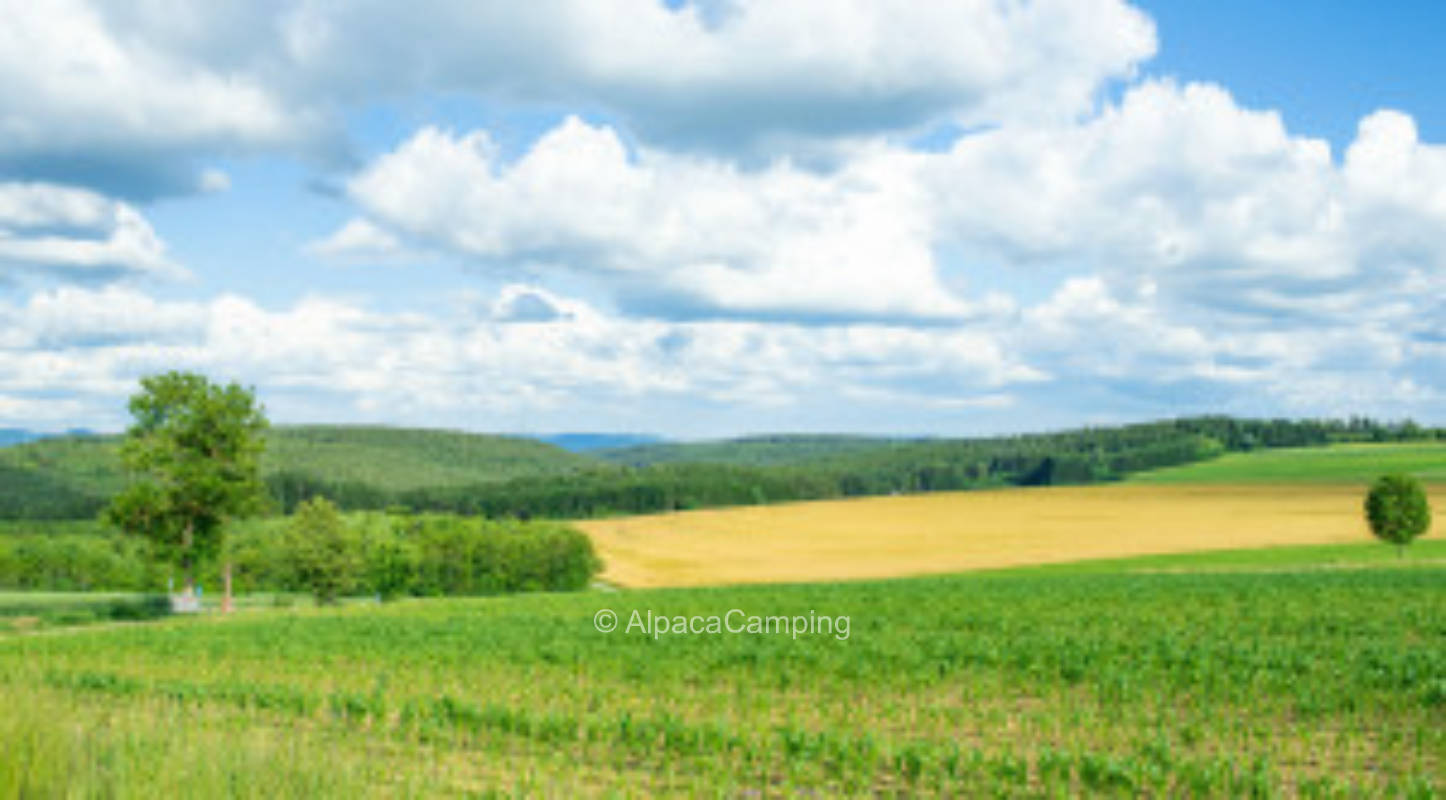 Auf einem wunderschönen Aussiedlerhof mit Weitblick #1