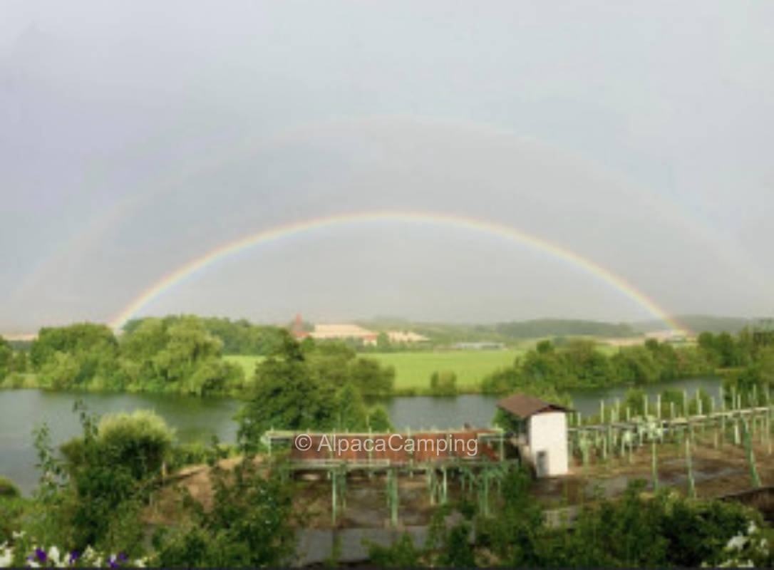 Wunderschöner Stellplatz in Mainidylle #1