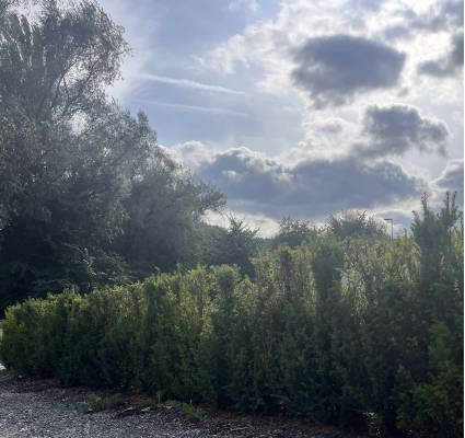 Stellplatz an wanderroute und hohle