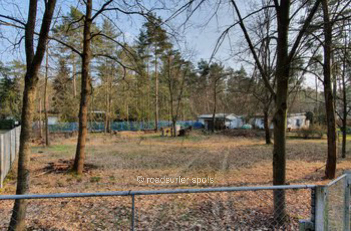 In the middle of the Düben Heath