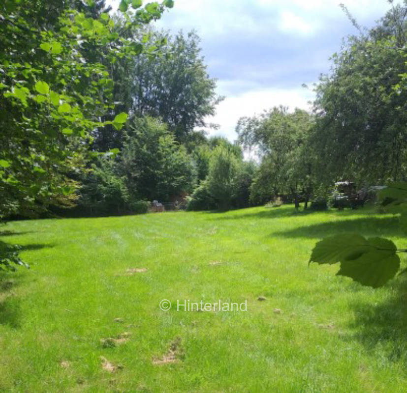 Campground in the green