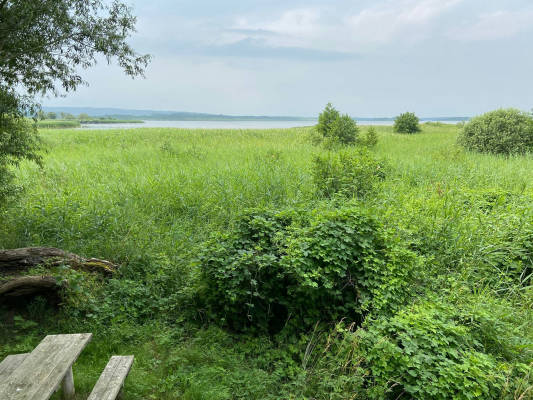 Kranichblick galenbeckersee camp