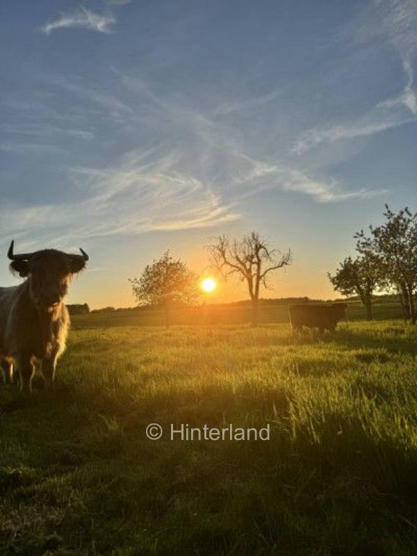 Ruhrgebiet trifft Sauerland Idylle