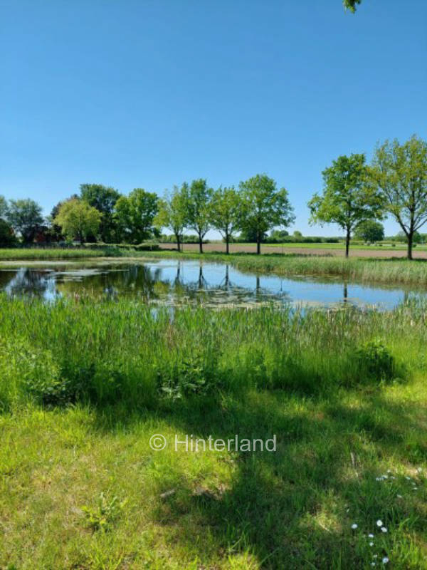 Idyllic places in Wangelau