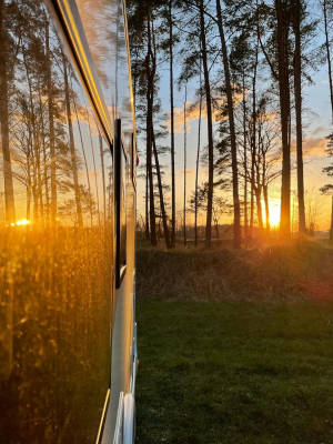 Grune wiese im wald oder idyllischer hofstellplatz