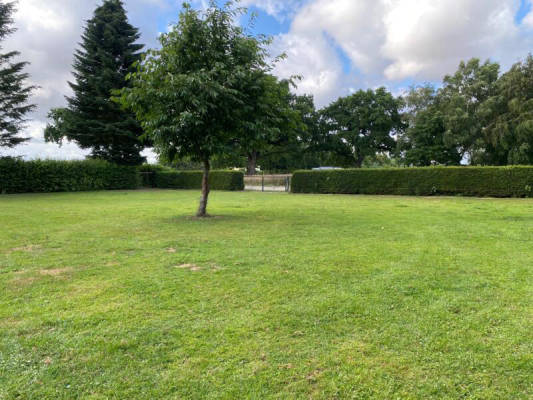 PferdeWiese (Campspace 31636)