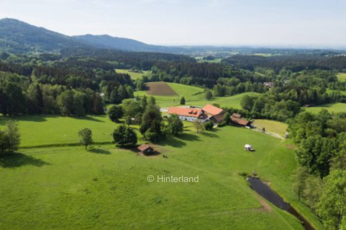 Camping in the deer park on the Bavarian Forest