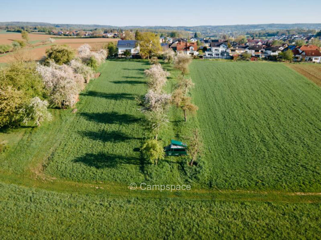 Beautiful meadow garden (a lot of space)