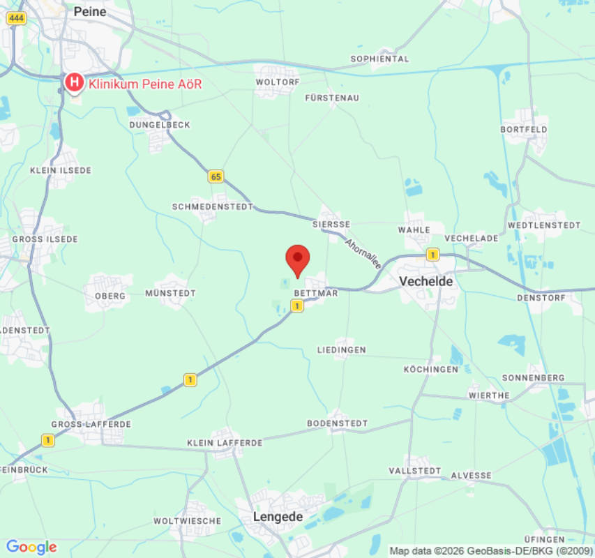 Platz für Wohnwagen, Van, Wohnmobil, Dachzelt (Campspace 18534)