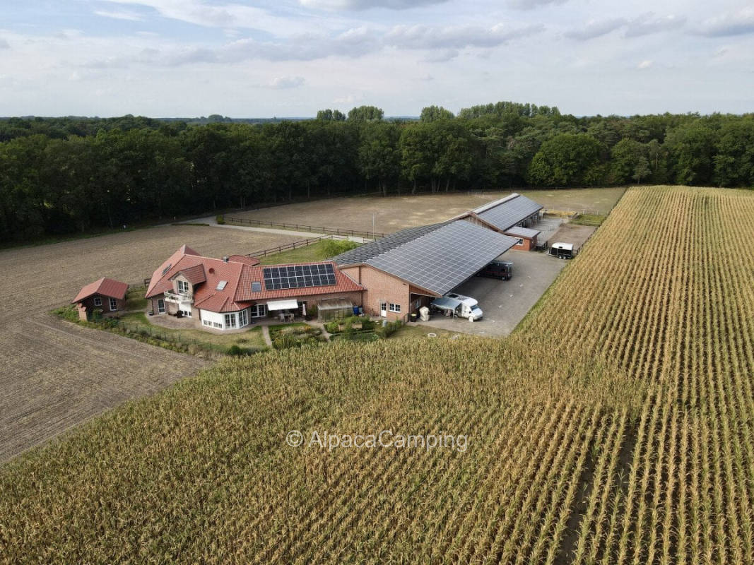AlpacaCamping 2498