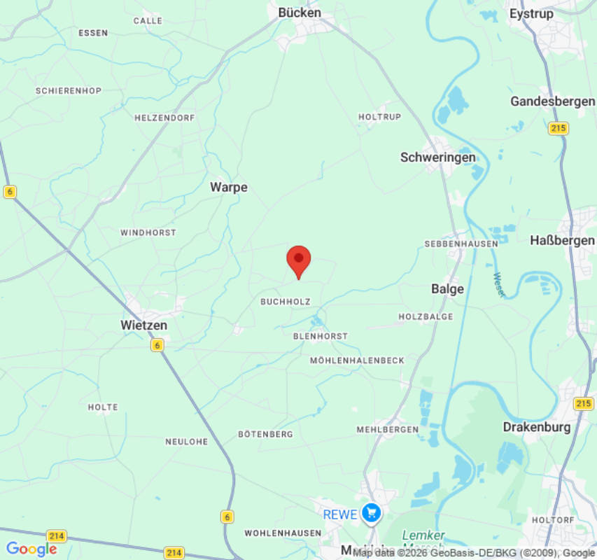 Unter der Birke (Campspace 9557)