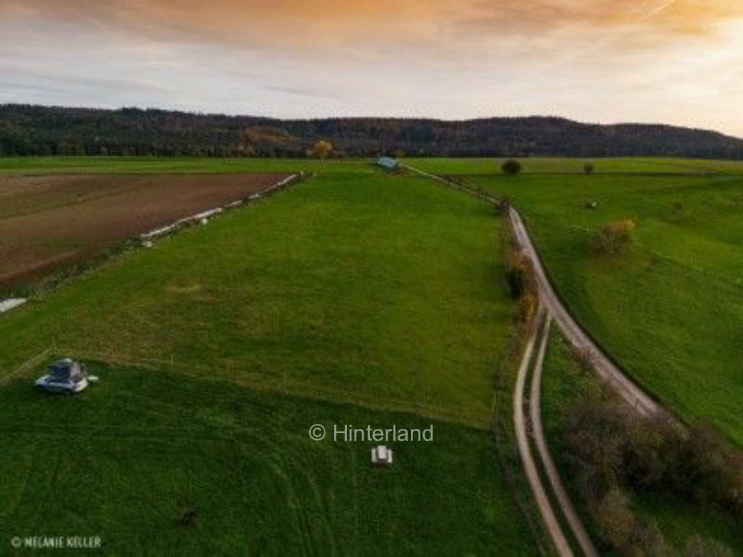 Meadow pitches on organic farm