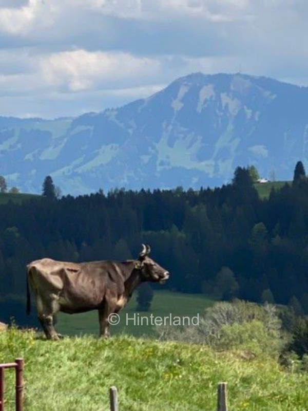 Camping mit Bergblick Nagelfluhkette