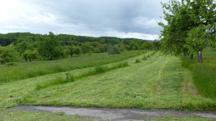 Wohnmobilstellplatz in Rudersberg