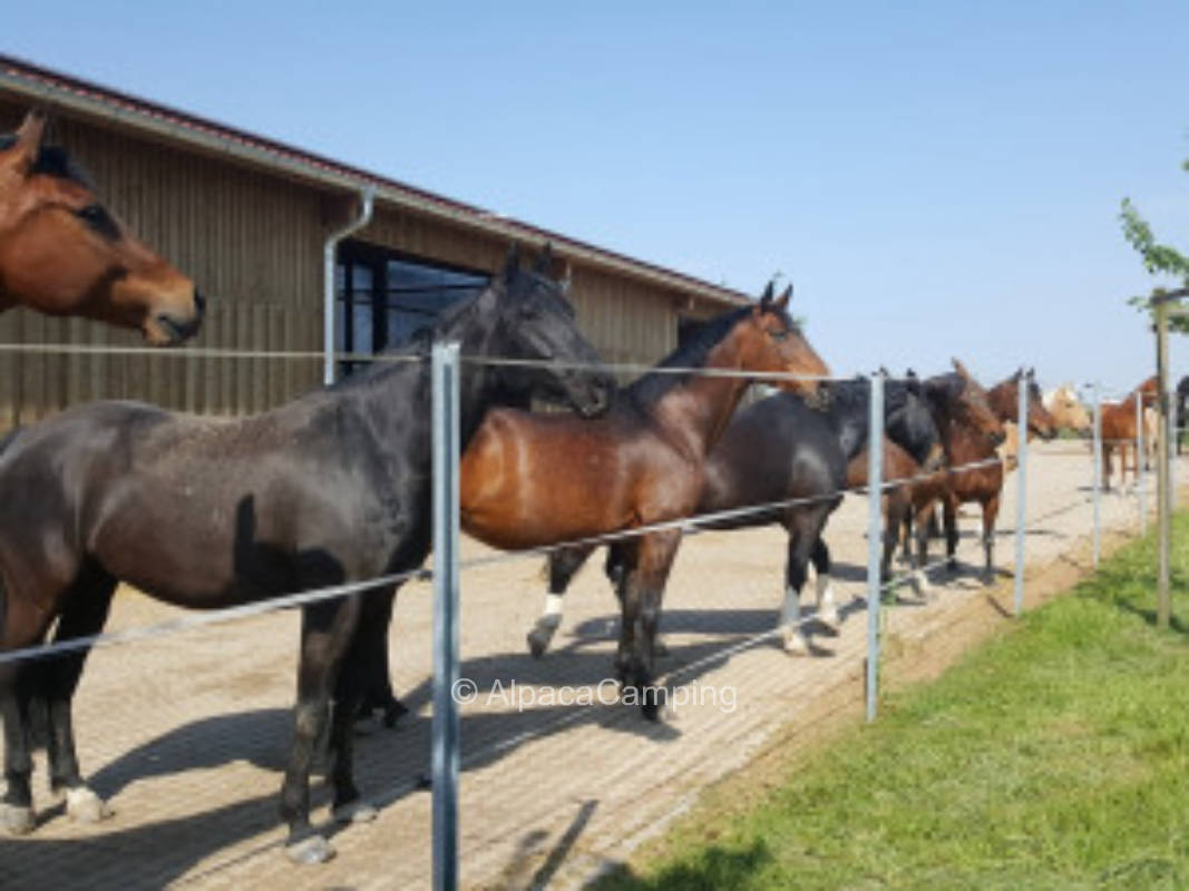 Bei der Reithalle in der Nähe vom Erlebnispark Tripsdrill