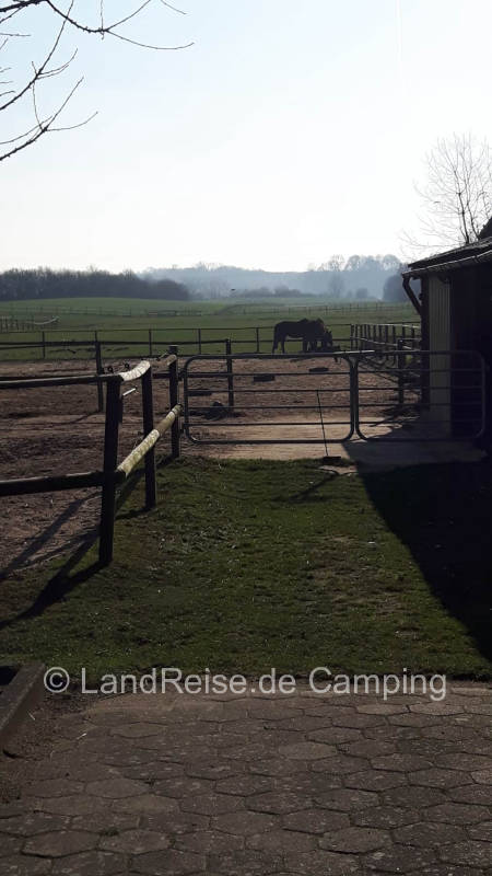 Pitch on rest and horse farm