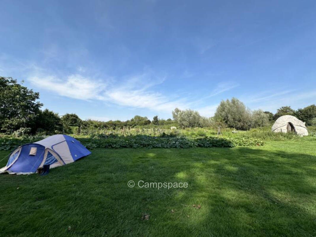 Magical camping in the orchard within the community