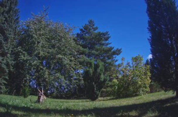 🌿Idyllischer Roadsurfer Spot: Honig & Natur pur
