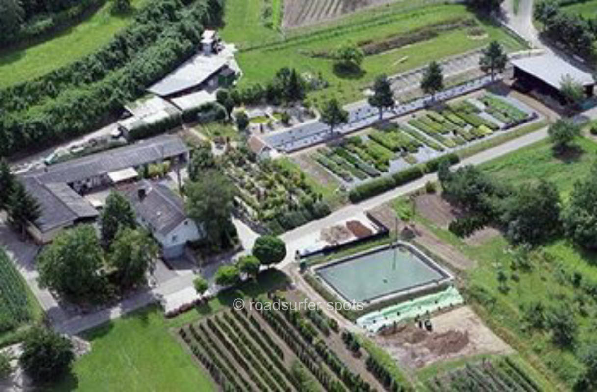 Grüne Wiese mit Blick zu dem Elsass