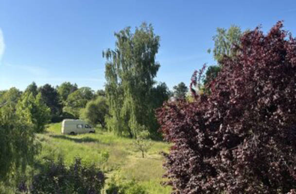 Camping auf einer Wiese bei Dresden 
