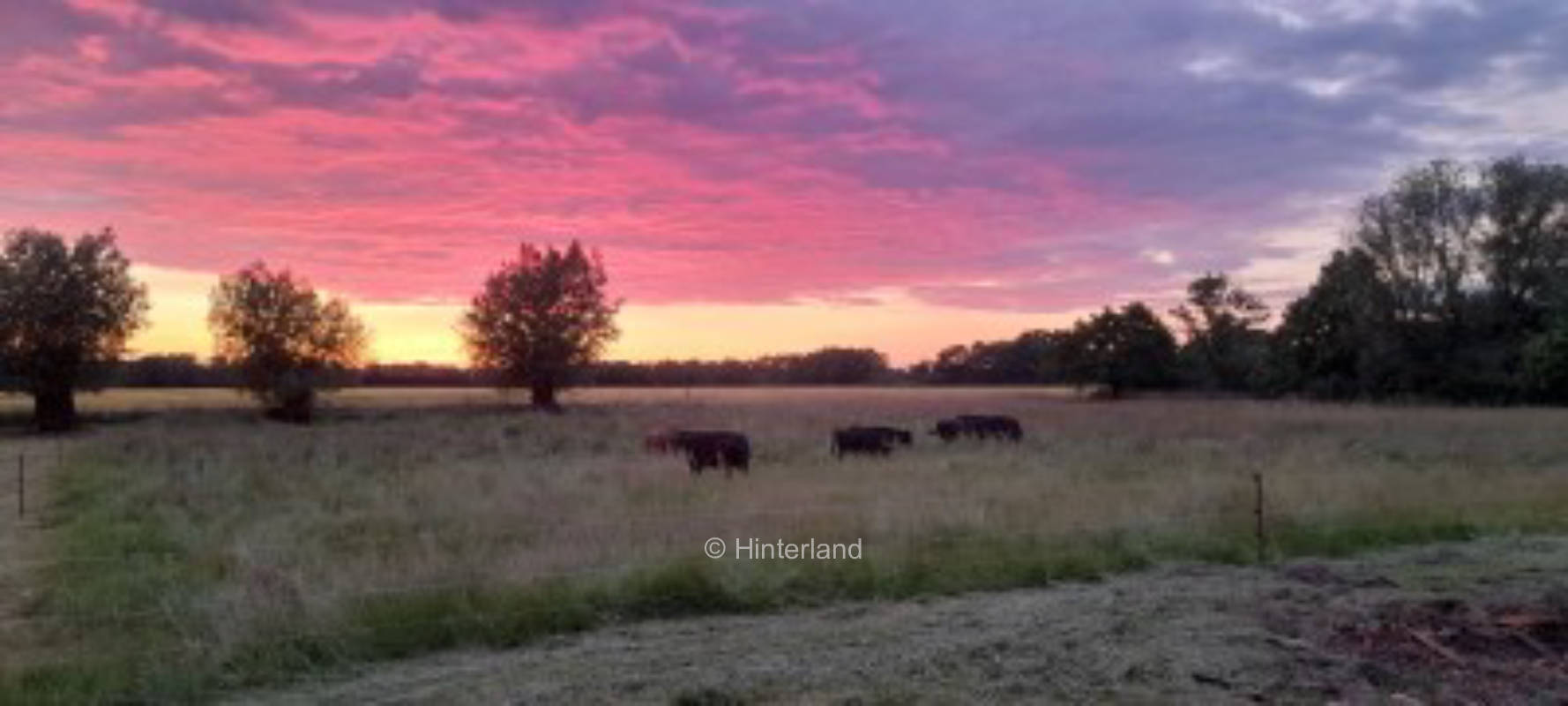  Natur und Ruhe pur