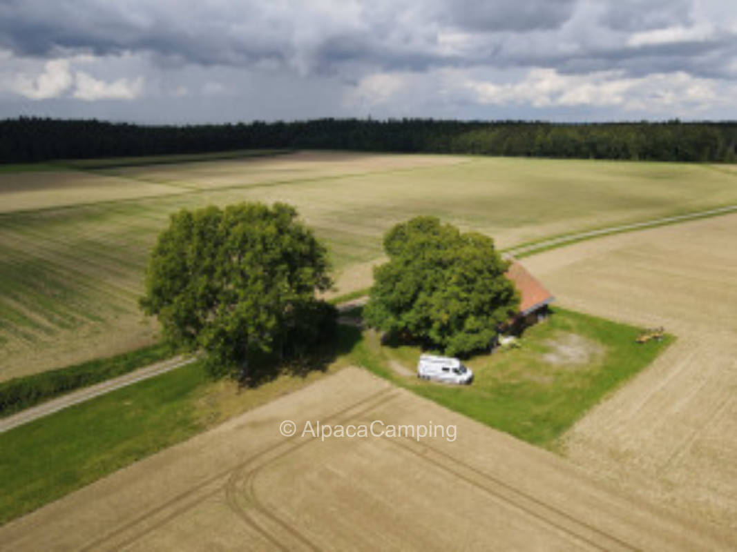 Unter den alten Eschen am ruhigen Ortsrand von Bachhaupten # 2