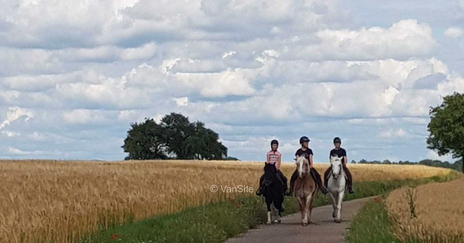 Horse farm