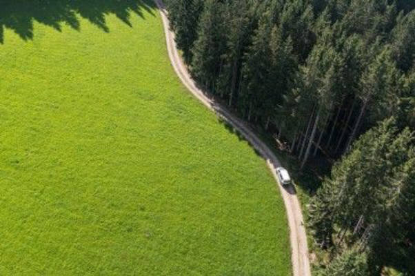 Am Waldrand im Schwarzwald mit Ausblick