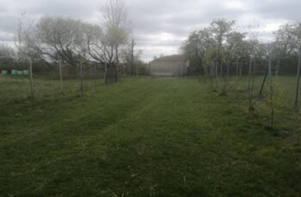 Private Huskyfarm