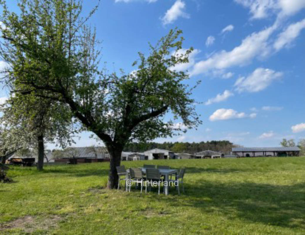 Large meadow in the nature park Schlaubetal