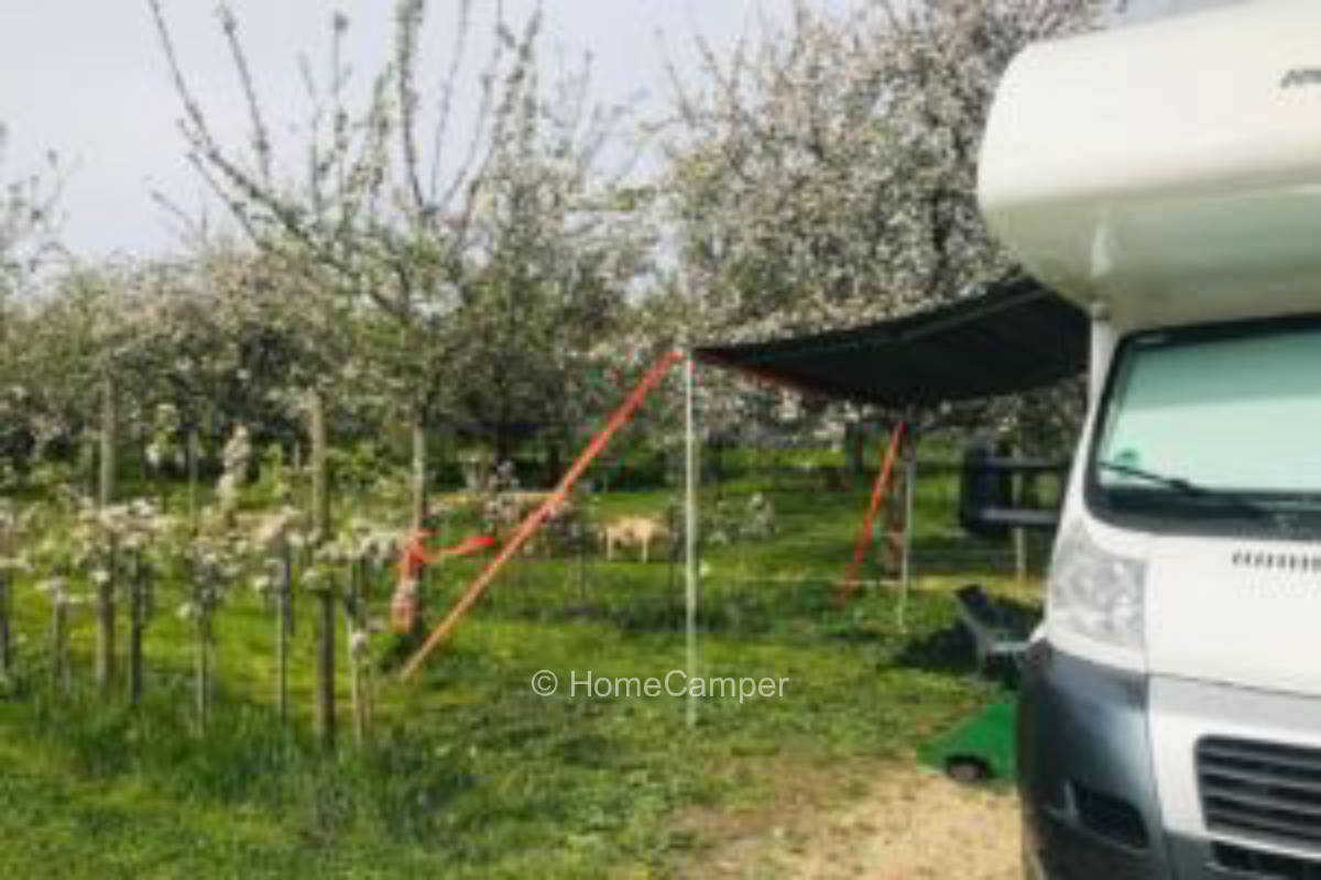 Private place in Deggenhausertal