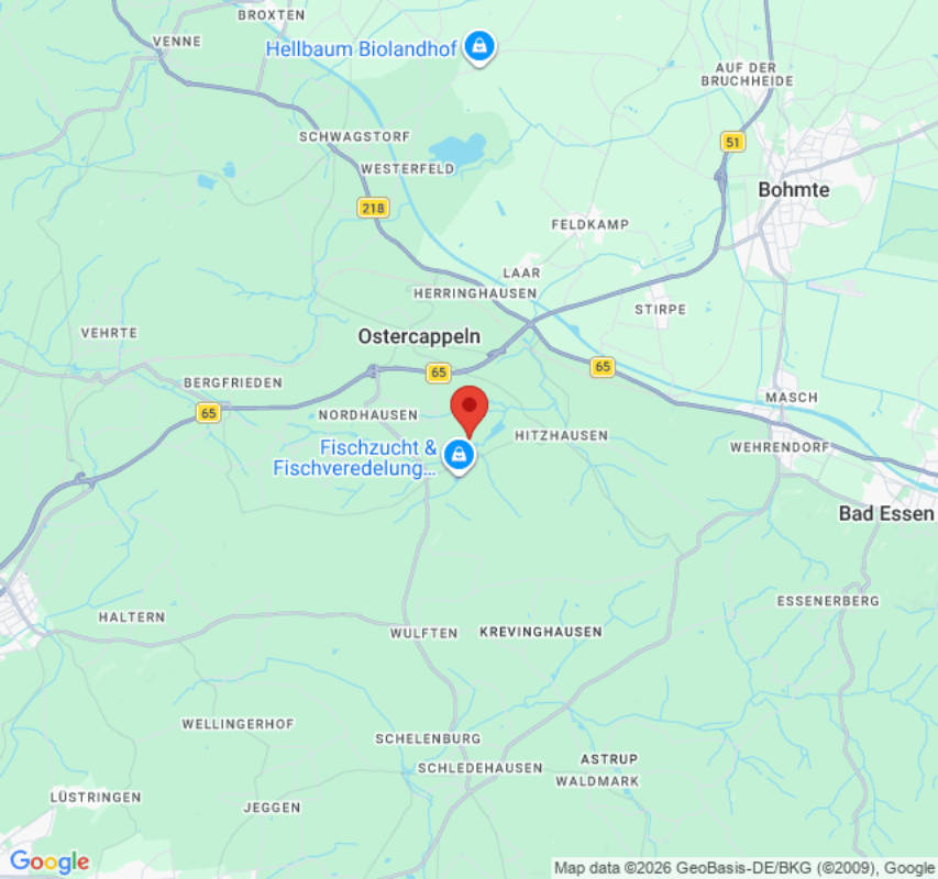 Am Waldrand (Campspace 28297)