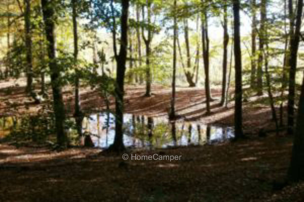 Privater Platz in Chorin