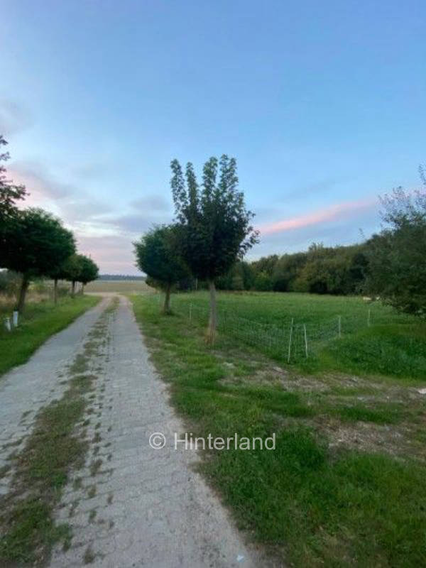 Ruhiger Stellplatz im Grünen nahe Bremen