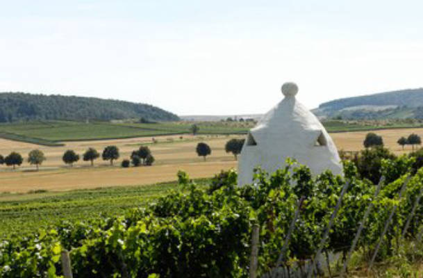 Wine Estate & Guest House Müller