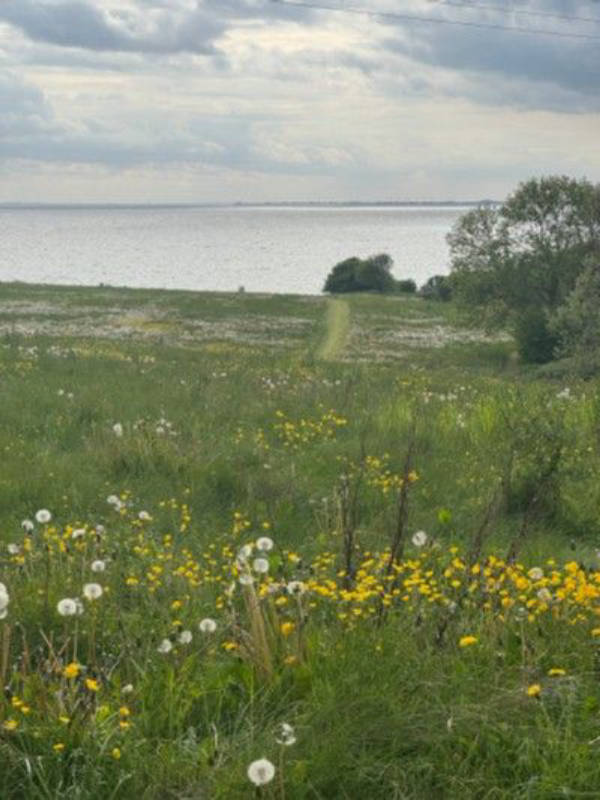 Weitblick am Meer – “Lyv Ærø” erleben