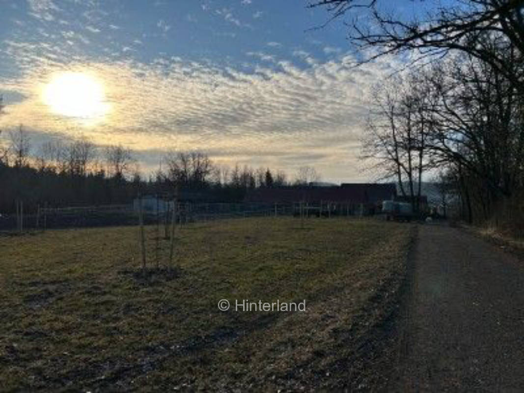 Wilde Weiden - Stellplatz am Waldrand Thüringen