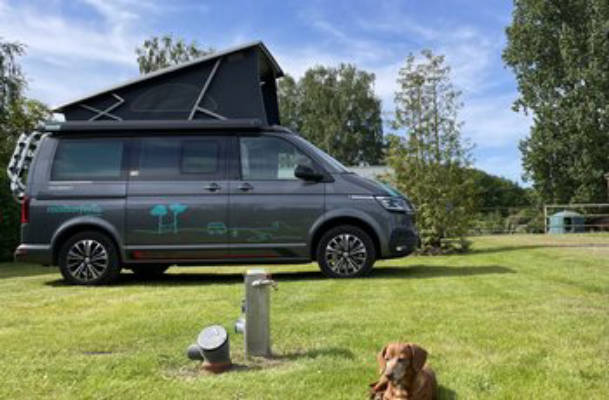 Camping on the Riding Pony Farm