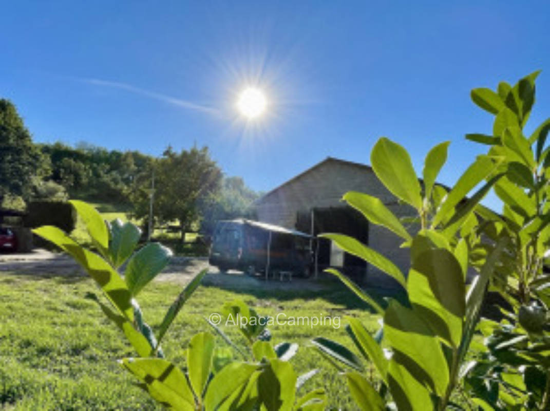 Im Grünen bei der Brennerei #1