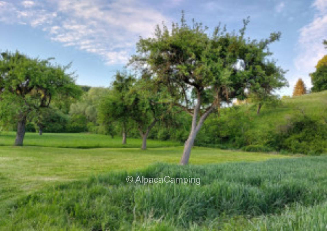 Einzelstellplatz an der Usel
