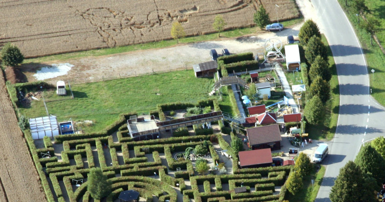 Maze of the senses