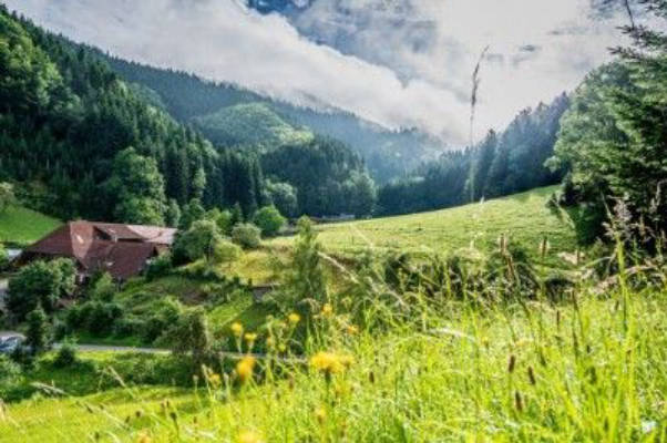 Campen im Schwarzwald auf dem Reiterhof mit Sauna
